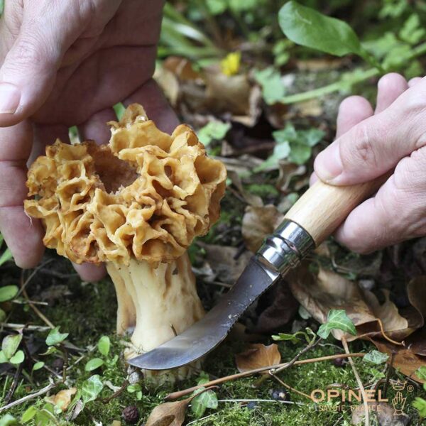 Coltello Opinel N°08 per funghi O-SF8F - immagine 4