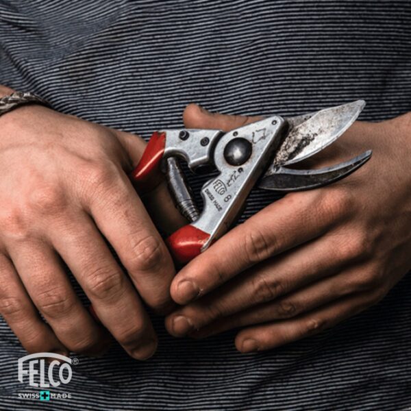 Cesoie Felco 8 forbici da potatura per mani grandi F08+B - immagine 3