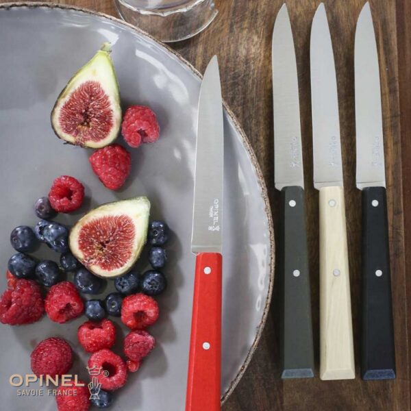 Set Opinel 4 coltelli da tavola N°125 Bon Appetit Loft O-1534 - immagine 3
