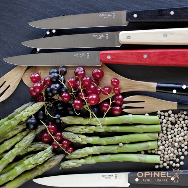 Set Opinel 4 coltelli da tavola N°125 Bon Appetit Loft O-1534 - immagine 4