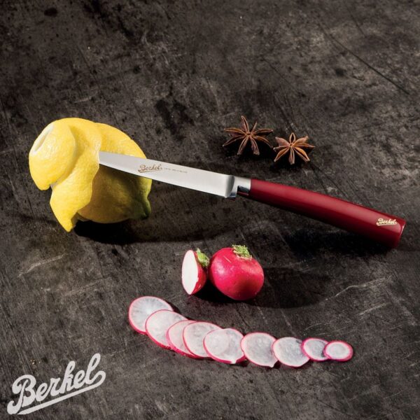 Set 6 coltelli da bistecca Berkel Elegance KEP6ST11SR - immagine 5