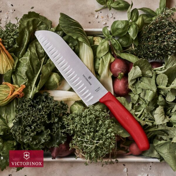 Set 4 pezzi da cucina Victorinox linea Swiss Classic 6.713 - immagine 5