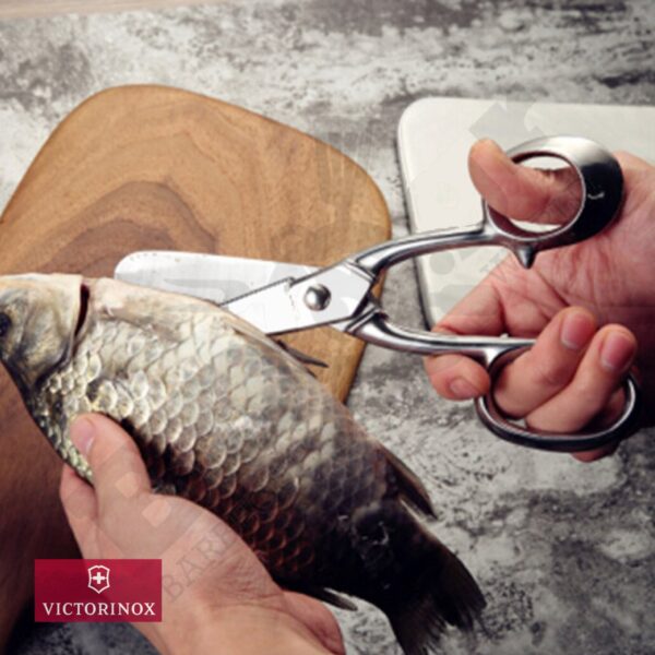 Forbici Victorinox da pesce 21 cm inox 8.1056.21 - immagine 3