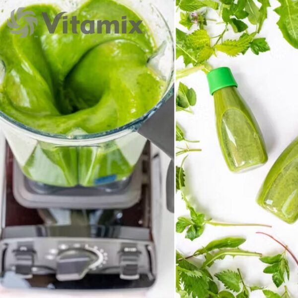 Frullatore Vitamix Explorian 520 BK VTX E520 BK - immagine 6