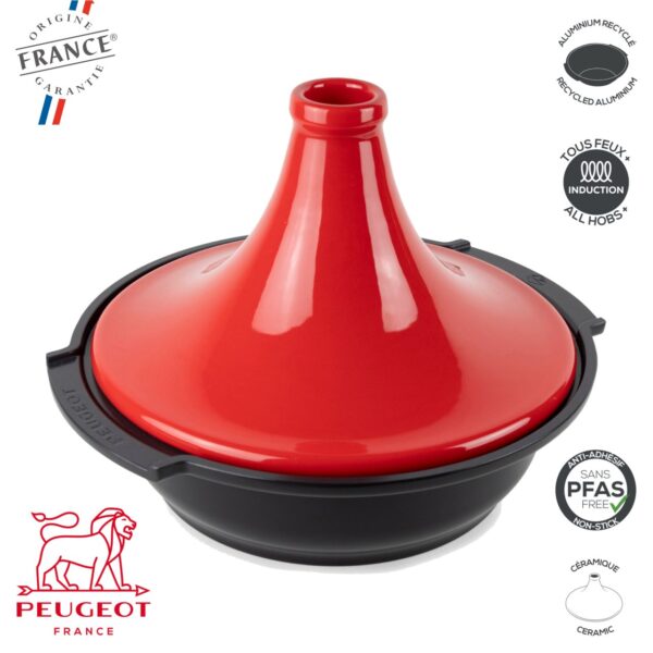Atlas Tajine 3,1 Lt Peugeot PSP62 - immagine 2