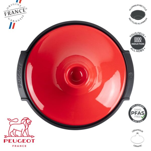 Atlas Tajine 3,1 Lt Peugeot PSP62 - immagine 3
