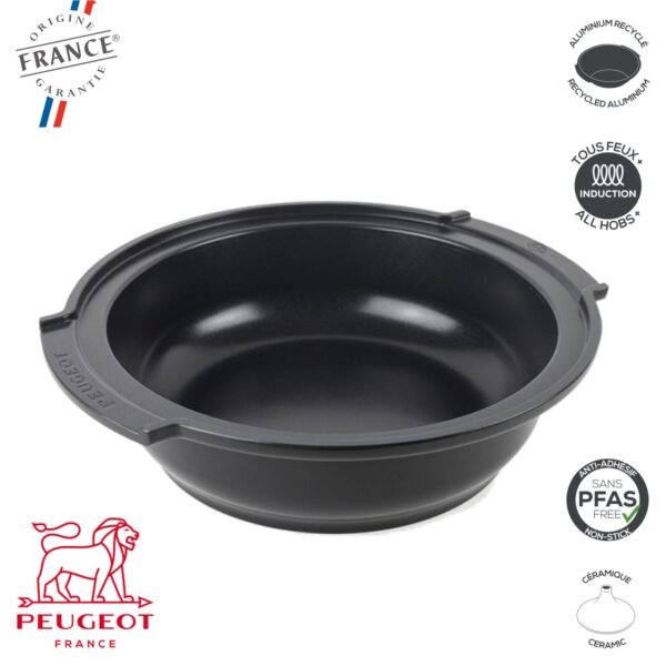 Atlas Tajine 3,1 Lt Peugeot PSP62 - immagine 4