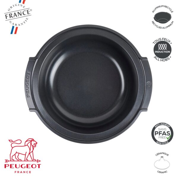 Atlas Tajine 3,1 Lt Peugeot PSP62 - immagine 5