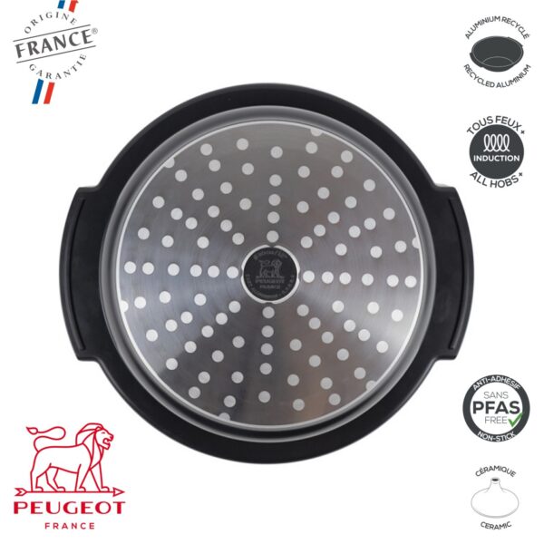 Atlas Tajine 3,1 Lt Peugeot PSP62 - immagine 7