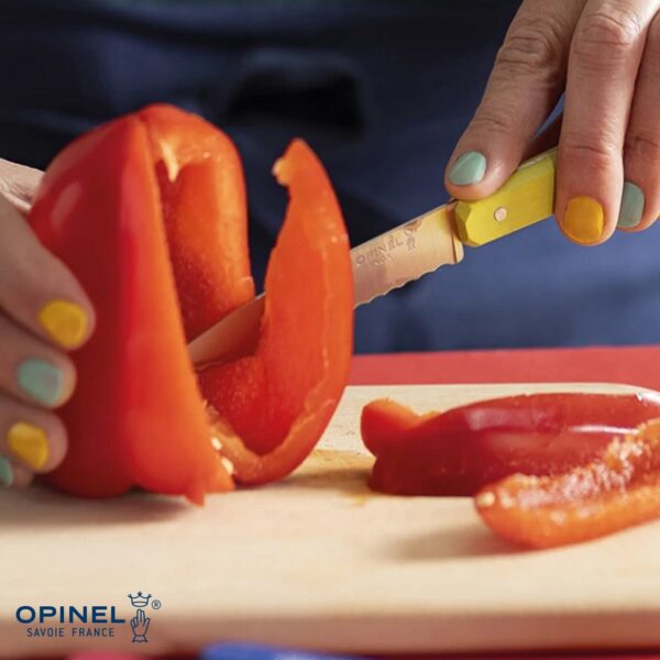 Set Opinel Les Essentiel Pop80 O-3208 - immagine 5