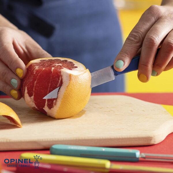 Set Opinel Les Essentiel Pop80 O-3208 - immagine 8