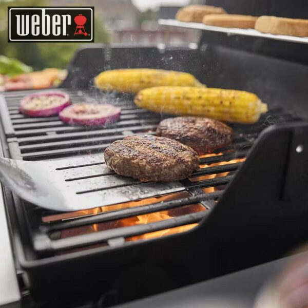 Barbecue a gas Weber Spirit E-210 1500835 - immagine 7