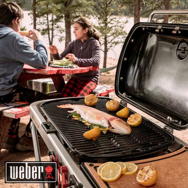 Barbecue a gas Weber TRAVELER portatile 9010053 - immagine 6