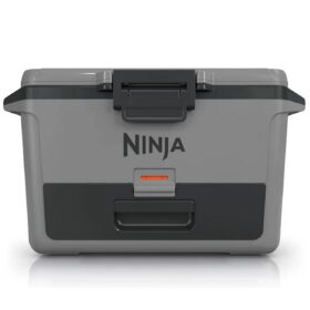 Frigo portatile Ninja Frostvault 47LT FB151EU